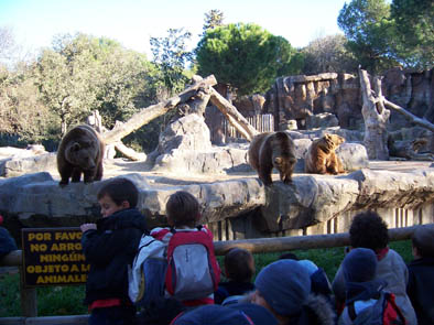 mt_gallery:1º Primaria en el zoo