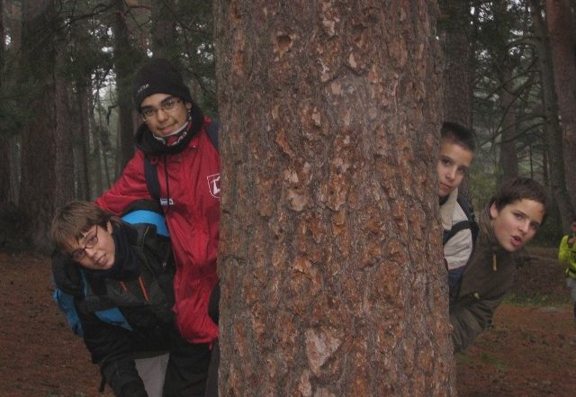 Excursión a Navacerrada
