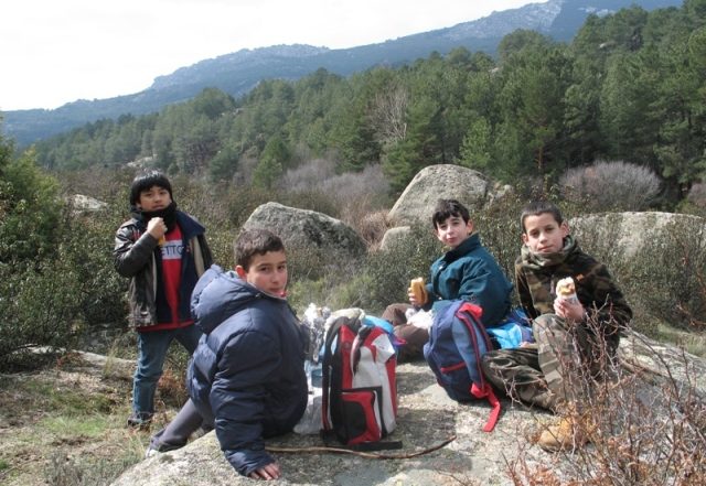 Excursión de 5º de Primaria a La Pedriza
