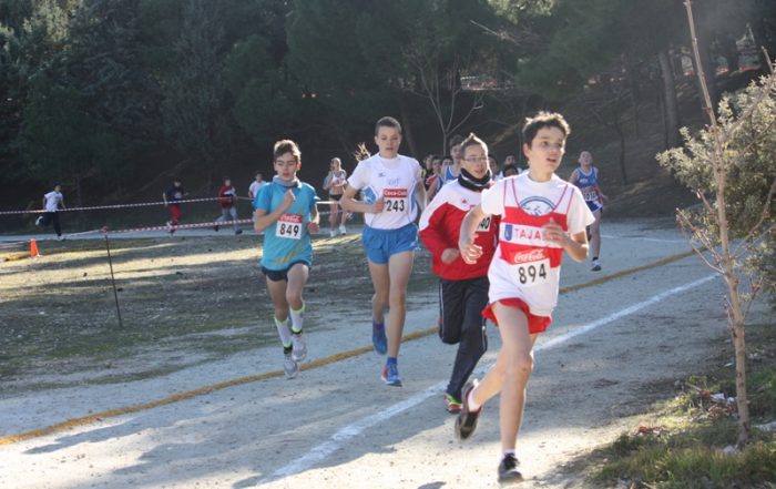 Cross 2012