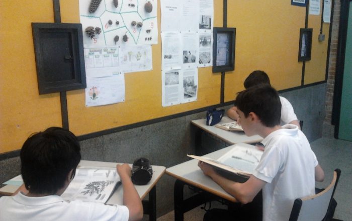 Ejercicio de localización de plantas en 1º ESO