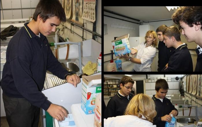 Programa de ESO II: supervivientes