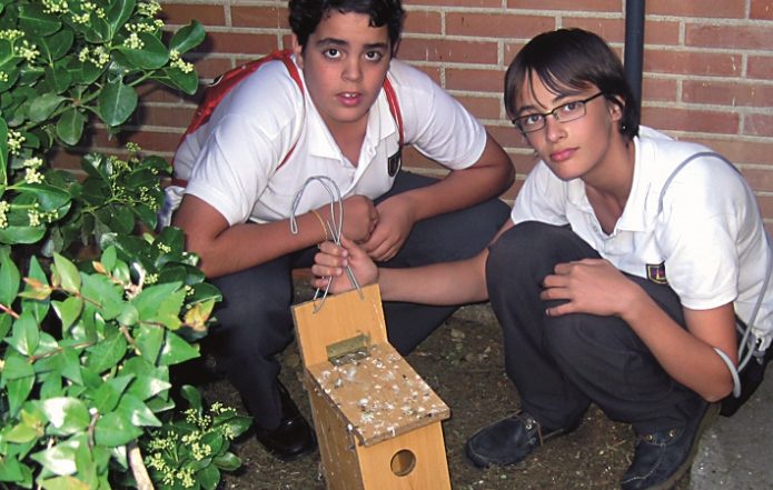 En la experiencia estudiaron más de medio centenar de polluelos