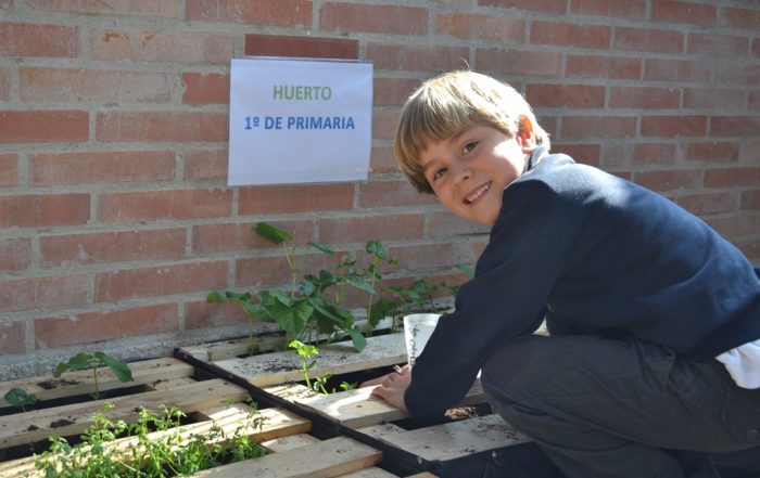 14prim1 clasedebiologia 28