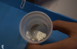 Asignaturas STEM