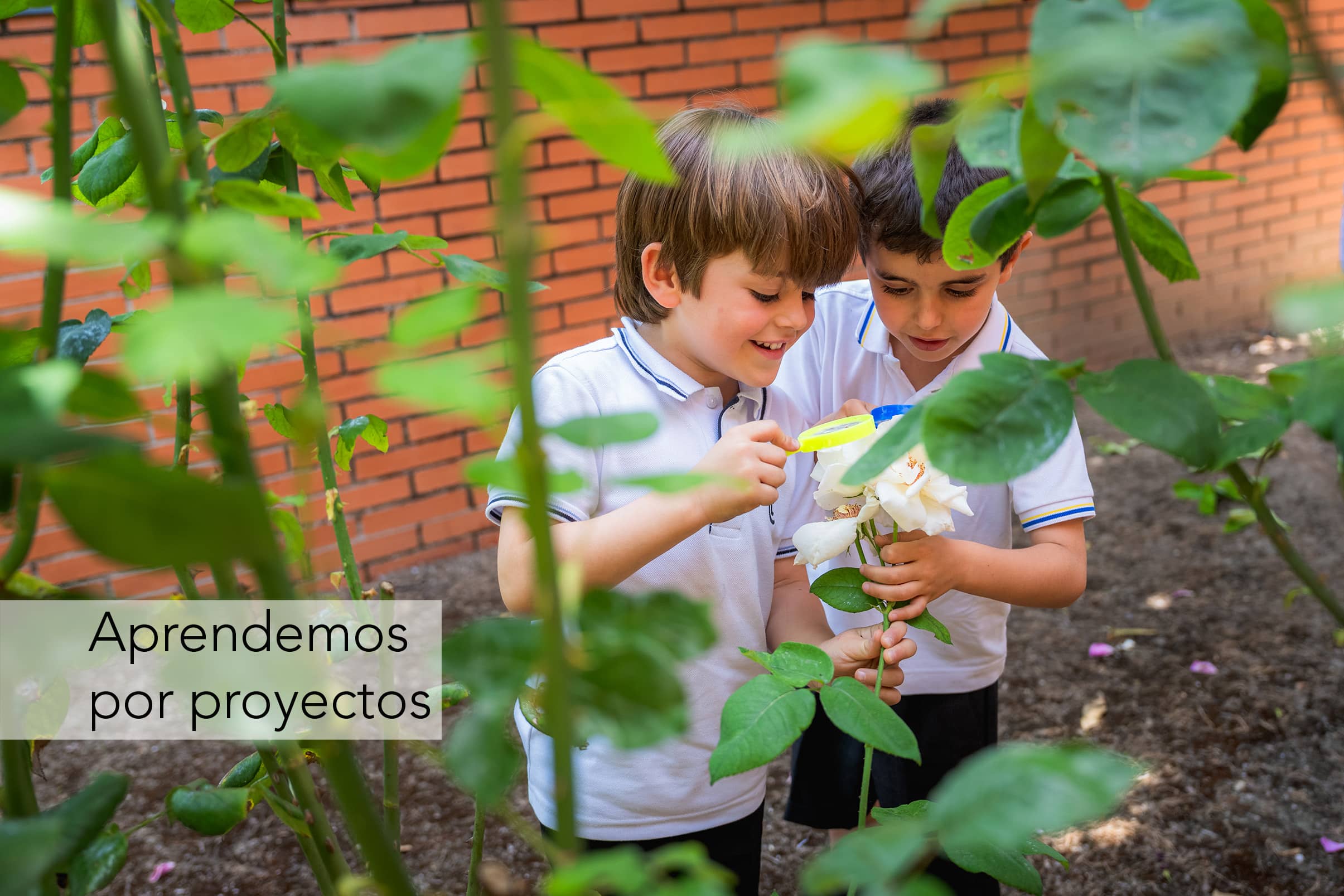 Aprender por proyectos en Tajamar aprendizaje por proyectos colegio concertado Madrid